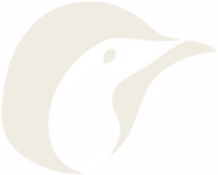 Jenko Systems